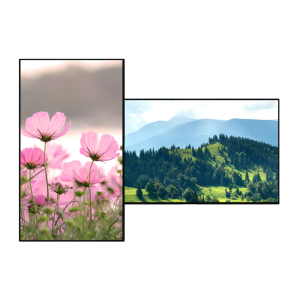 Clevertouch CL PRO Display